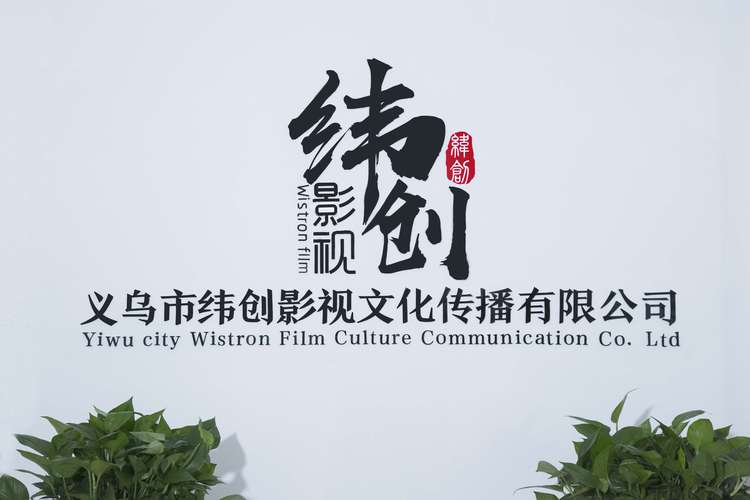 影视策划,组织策划文化艺术交流活动